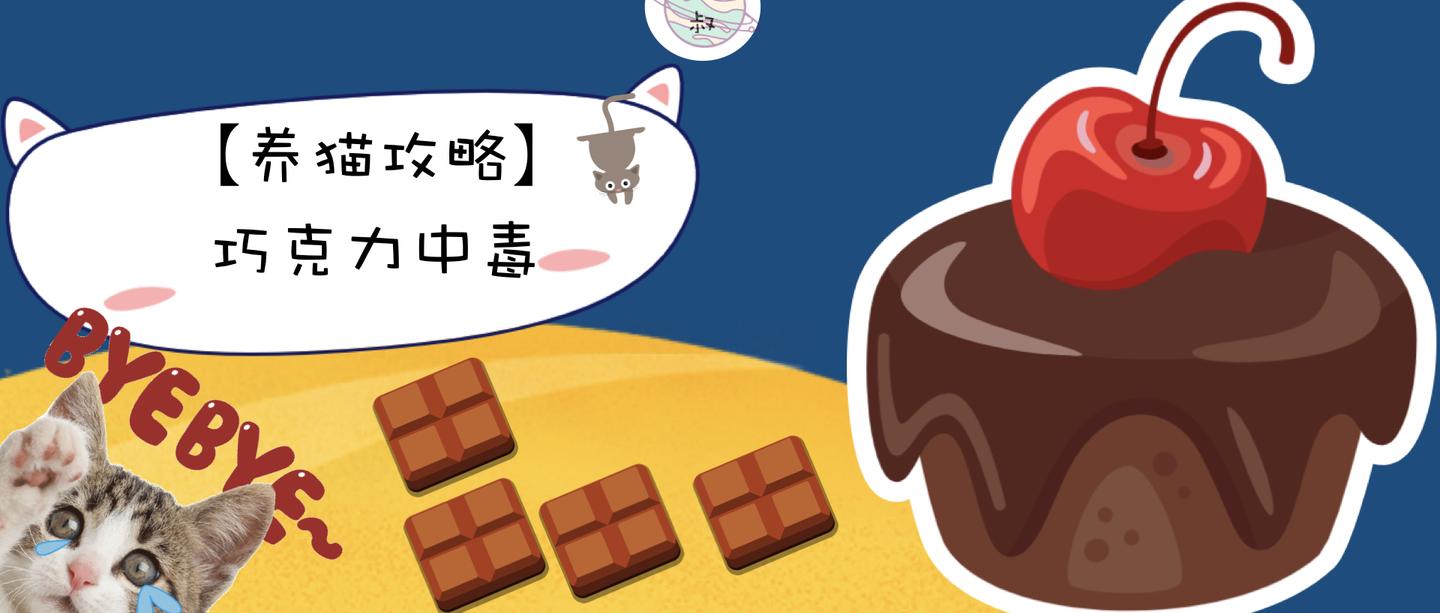 养猫攻略偷吃巧克力的猫会有怎样的下场