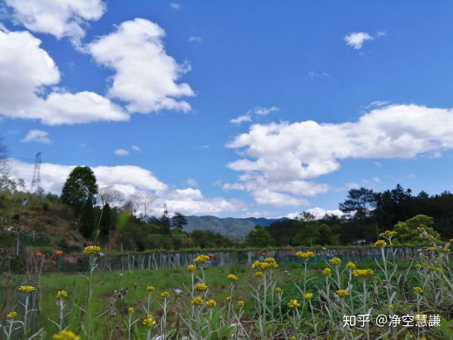 待苦盡甘來的那一刻,山河星月都做賀禮～950595 - 知乎