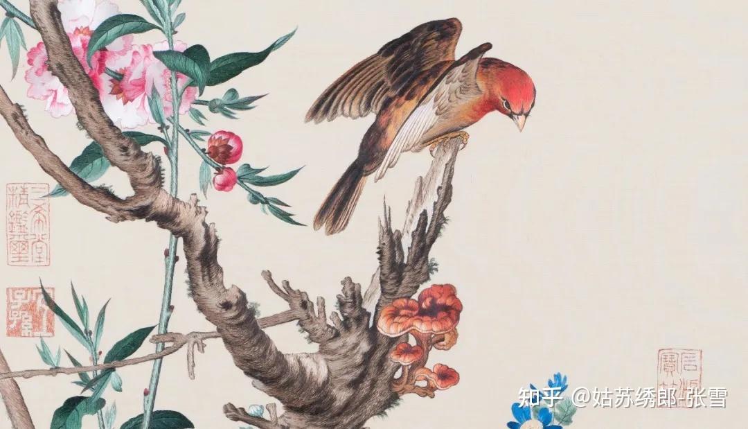 郎世寧 花鳥圖 清郎世宁《花鸟图册》赏析-搜狐