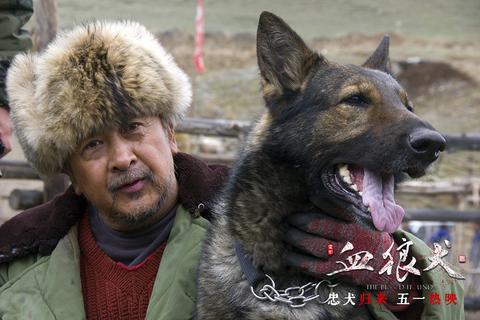 血狼犬2图片