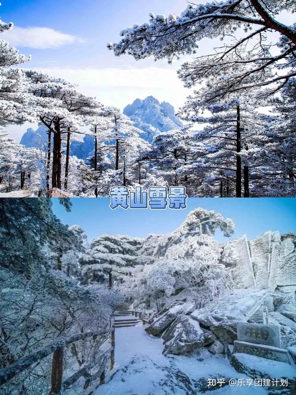 上海团建赏雪宝藏好去处合集建议收藏 - 知乎
