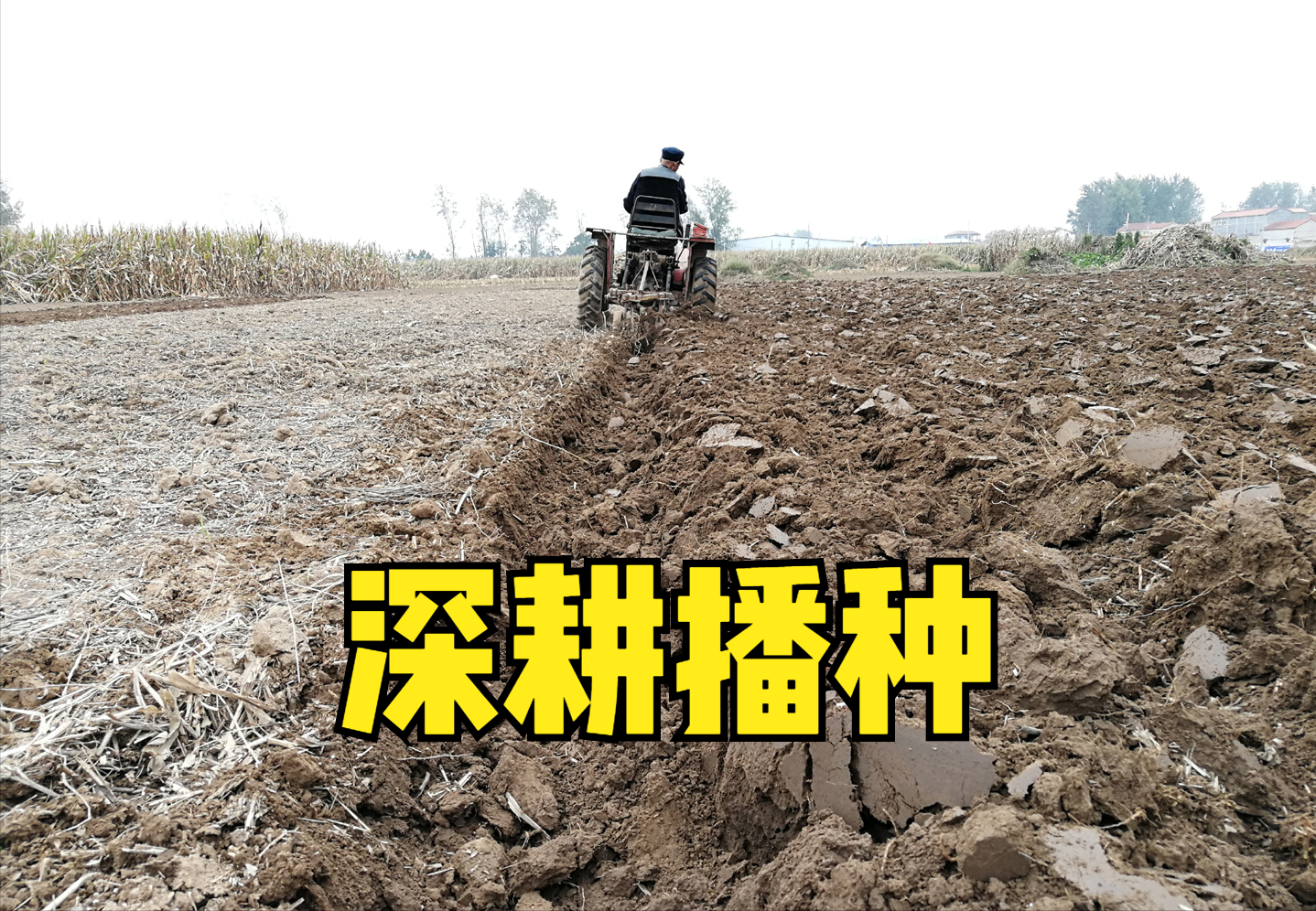 种植小麦，深耕好还是免耕好？利弊详细对比，哪种产量高？ - 知乎