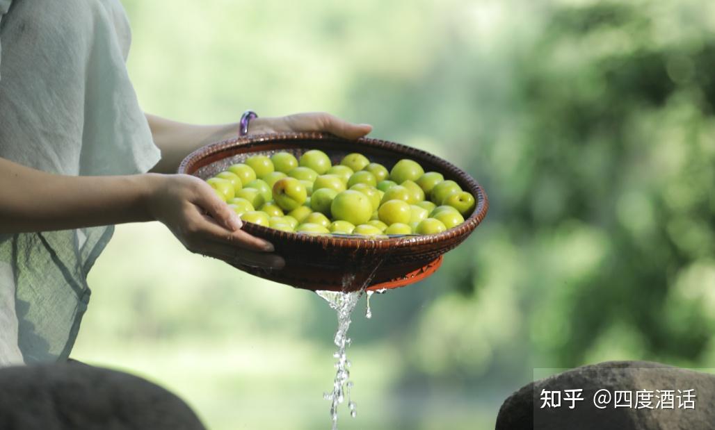 青梅煮酒意境图片图片