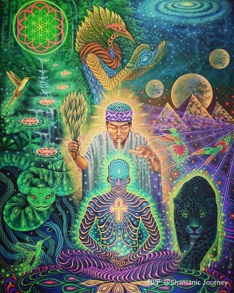 致幻剂与萨满的迷幻