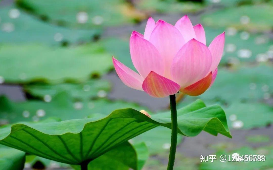 气运玄机:如何获取宇宙的能量加持? - 知乎