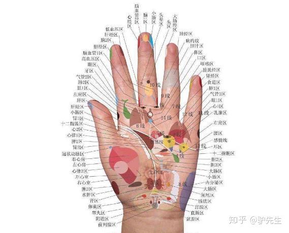 因此,只要准确地,不断地按摩手部穴位病理反射点,就
