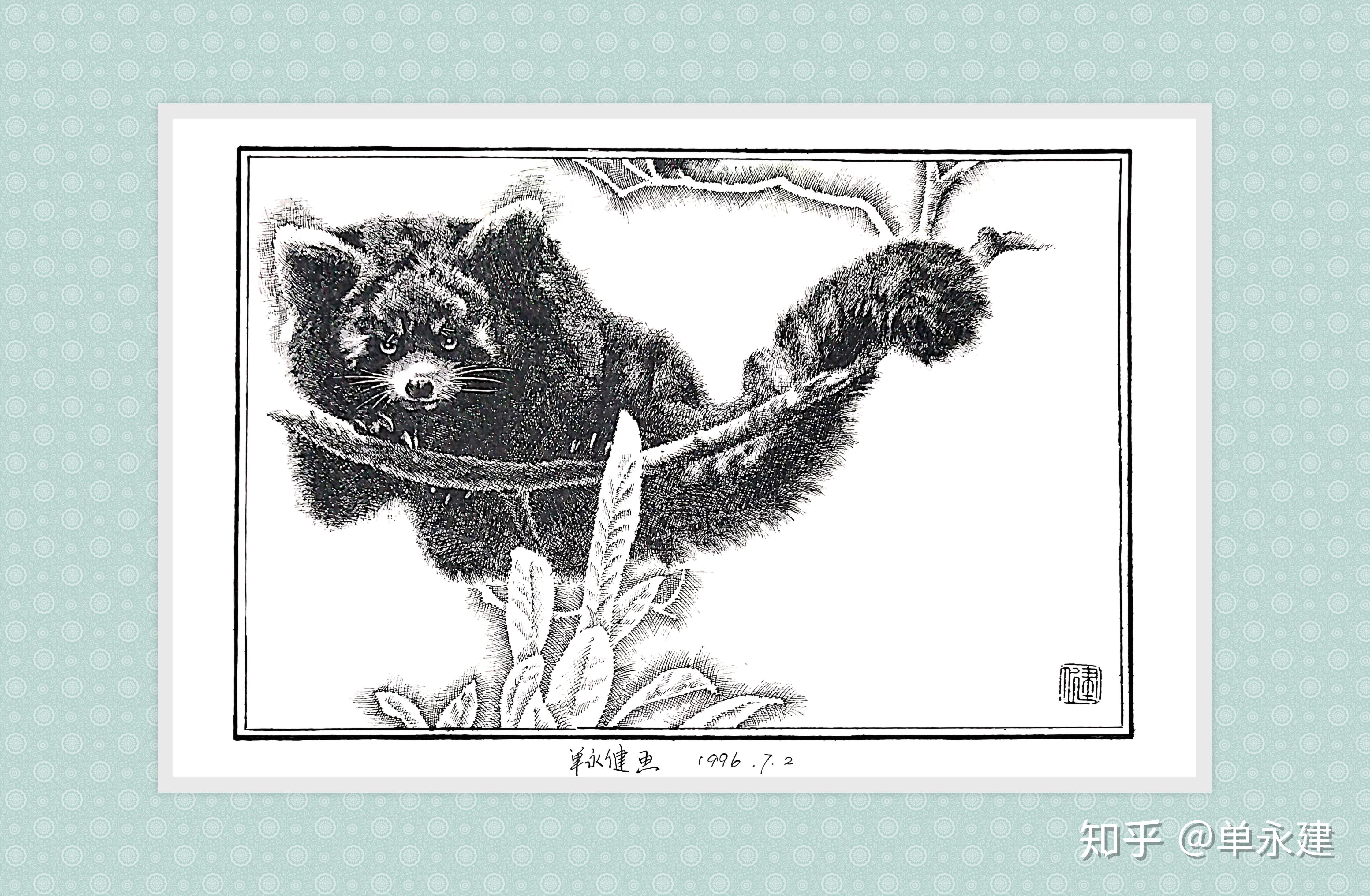 单永建画作1996年钢笔画小熊猫