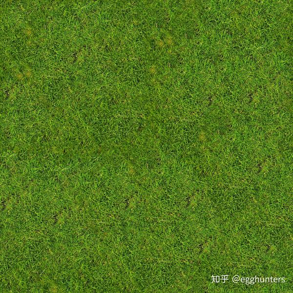 ThreeJS 实现草地贴图 知乎