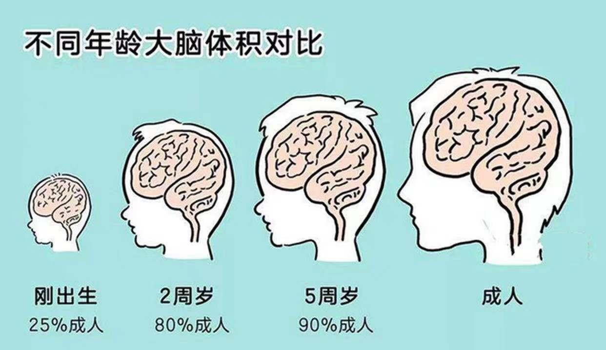 婴儿大脑影像重建,一项基于fnirs通道空间分析的纵向研究