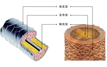 头发顺滑有光泽最重要的是什么? - 知乎