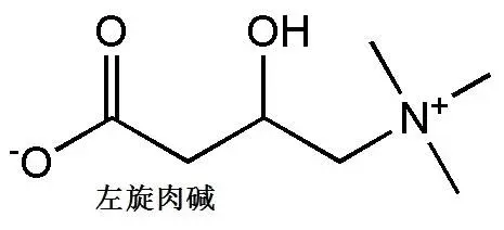 (carnitine),临床管这玩意儿叫卡尼丁,这东西是种氨基酸,分为左旋肉碱