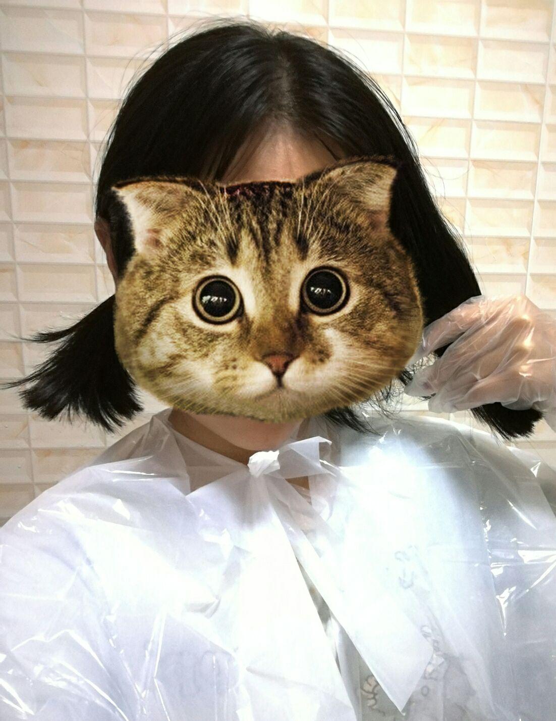 想省钱,自己怎么染发?