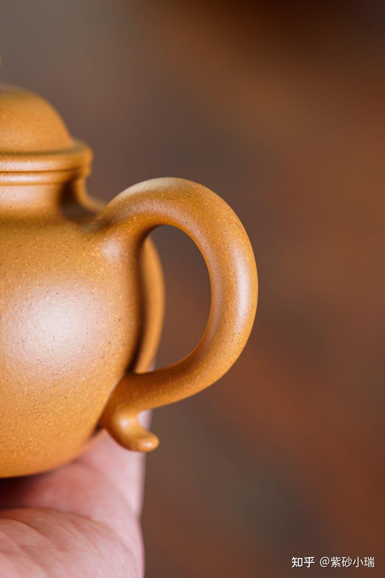 莲子250cc张丽娟