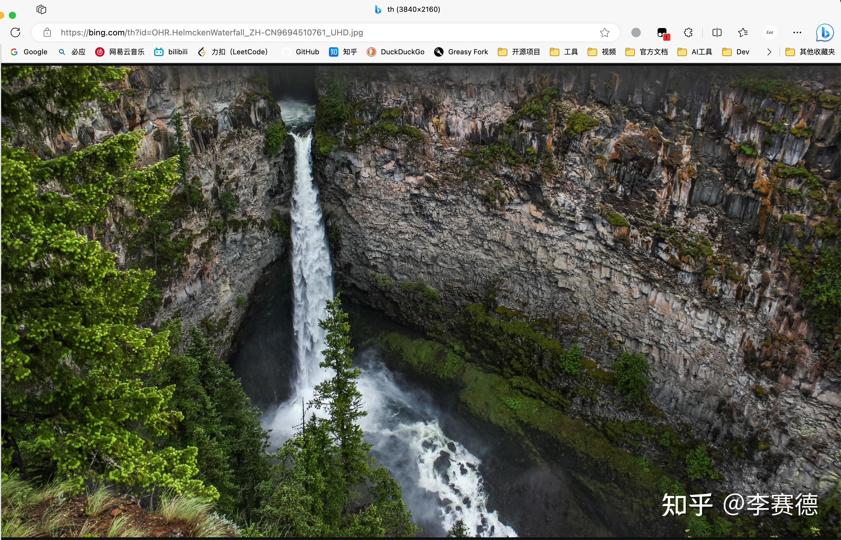  ios bing 