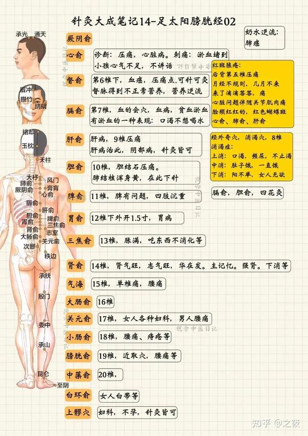 《针灸大成笔记》——倪海厦老师视频整理(建议收藏) - 知乎
