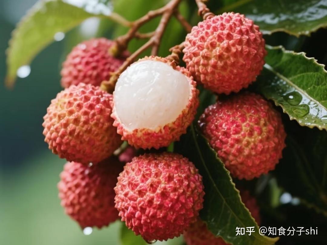 救命！原来荔枝才是被低估的营养宝藏，别再只当它是甜甜的水果了 - 知乎