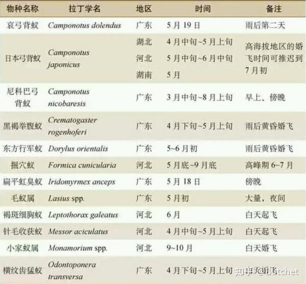 爬宠行业 | 关于爬宠饲养以及商业化杂谈(总5000字) - 知乎