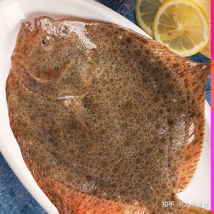 深海里肉厚刺少的多宝鱼