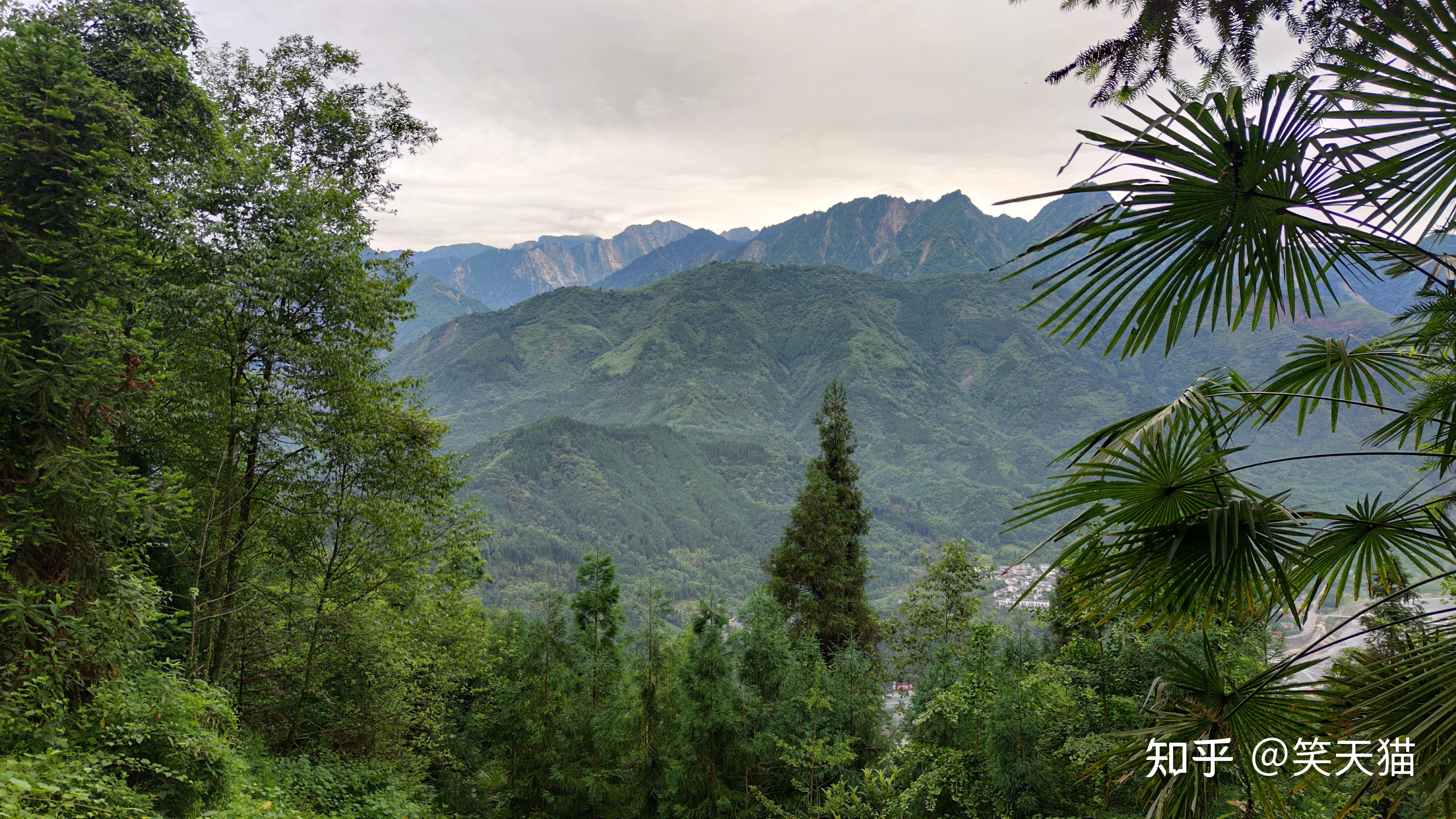 驴友一人冒险进入绵竹云湖森林公园徒步小道差点消失于深山