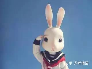 小学 谁的iq高 八道小学趣味数学题 和孩子pk下 知乎