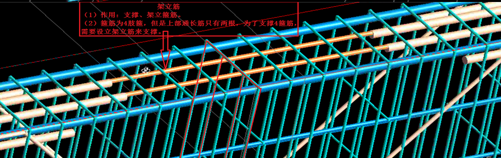 你就说我的钢筋骨架中上部钢筋里的上部通长筋和上部非通长筋这两位吧