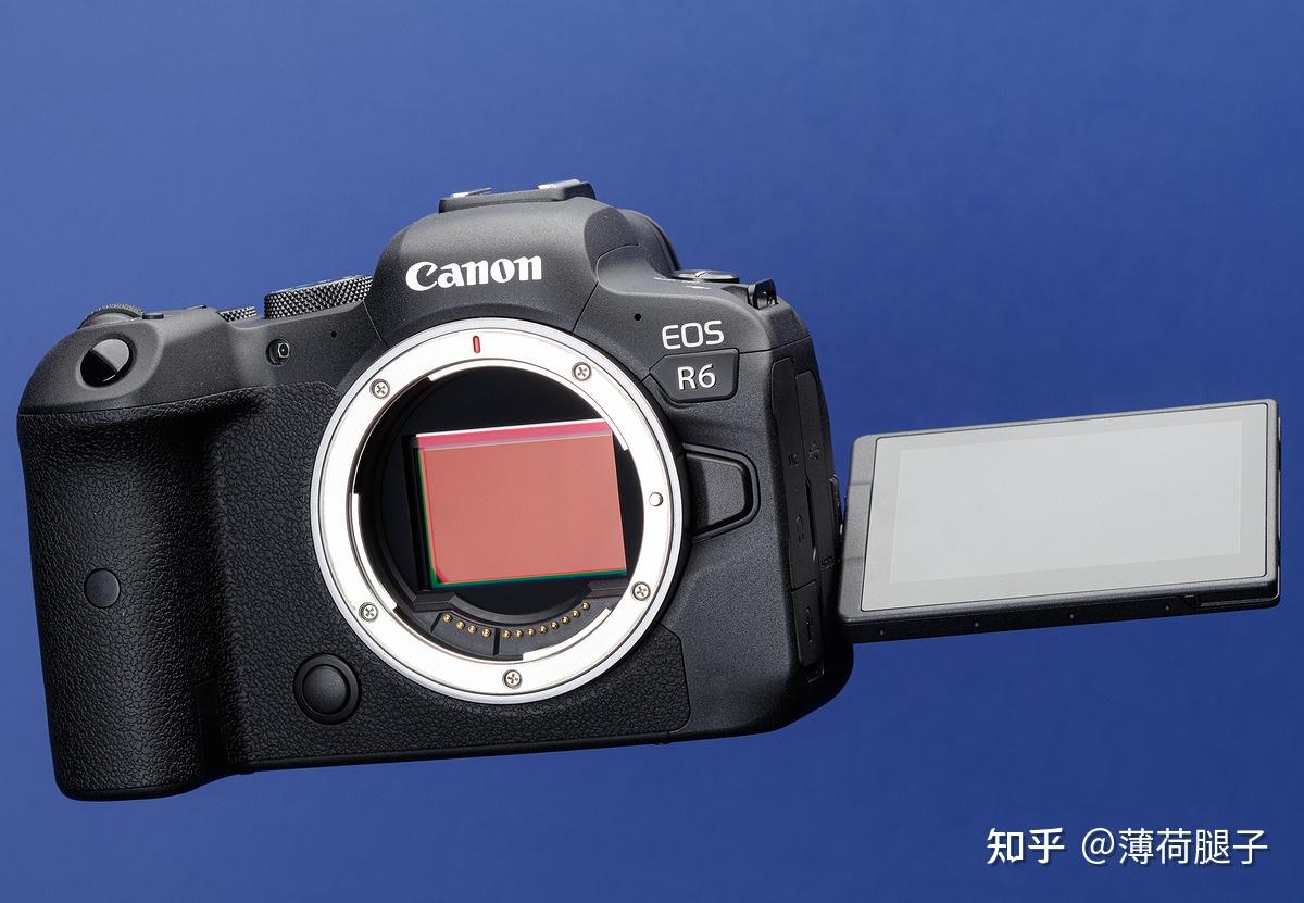 佳能r6 全画幅微单数码相机介绍|佳能r6全画幅相机镜头推荐