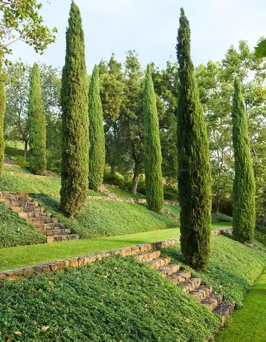 新型护坡景观设计,斜坡绿化也可以这么美!