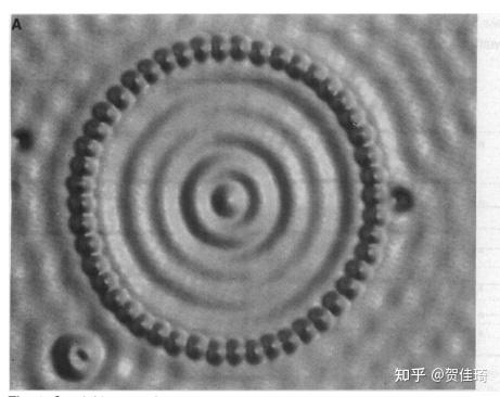 扫描隧道显微镜(STM) - 知乎