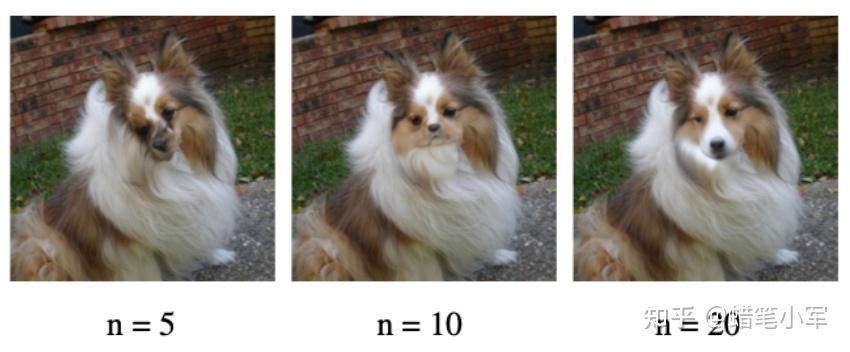 论文阅读 | RePaint: Inpainting using Denoising Diffusion Probabilistic ...