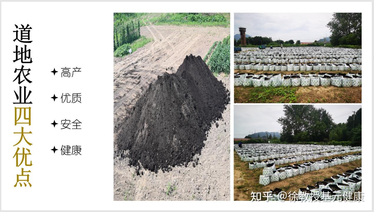 事实上,两度诺贝尔奖得主莱纳斯·卡尔·鲍林在上世纪就说过:"每一种