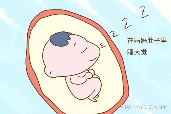 怀孕时期胎动次数多少才是正确的 知乎