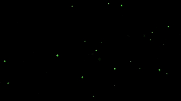 v2-caeaca43bd9081105610254d1de9fbe9_r.gif