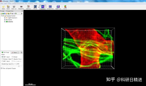 使用imaris对激光共聚焦照片进行体积测量及共定位分析 知乎