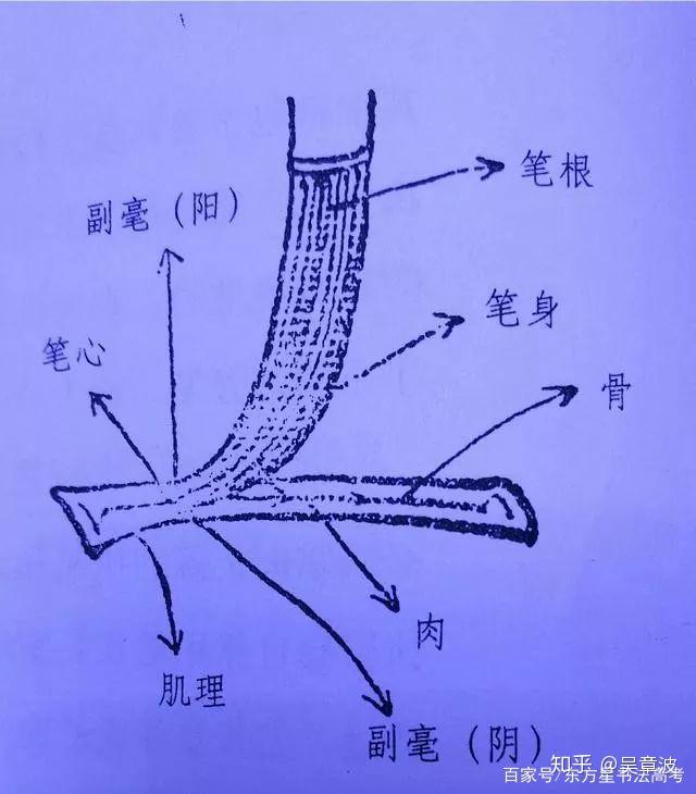 什么是中锋,侧锋,偏锋? 