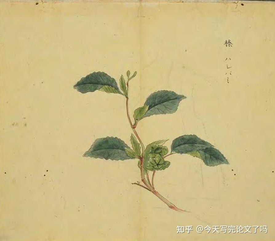 61天读完诗经day8式微旄丘简兮泉水北门