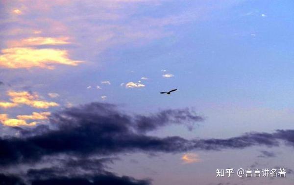 《临江仙•孤雁》赏析 - 知乎