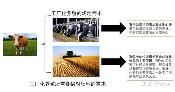 畜牧业你所不知道的真相 知乎