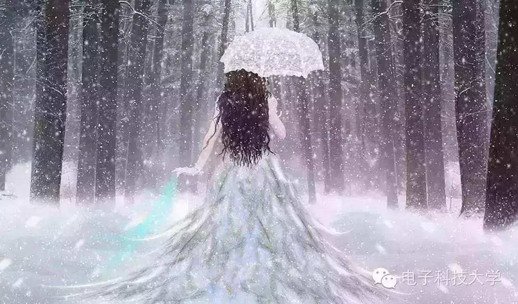 昨晚做了个梦，梦见一女生，探寻梦境深处的情感与启示