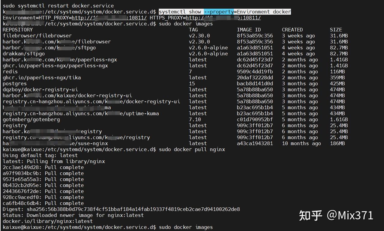  docker proxy 