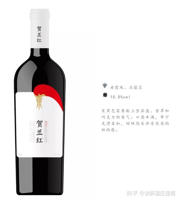 从山海情里走出来的酒庄