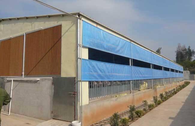 养猪场的用水量是很大的,猪喝的水,猪食用水,打扫猪圈消毒用水等等