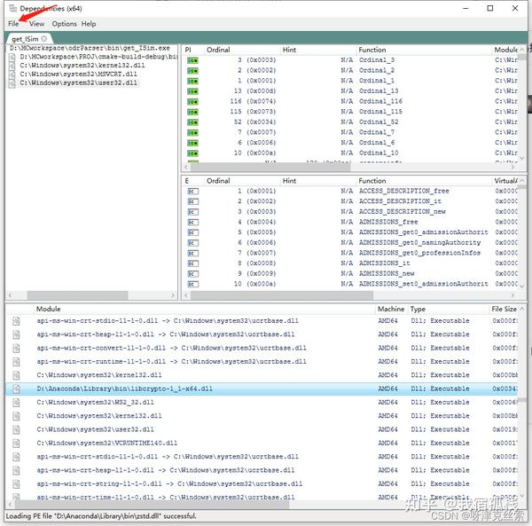 Win clion exe dll 