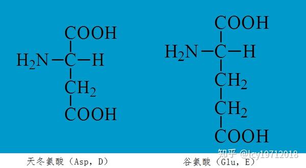 基本氨基酸的一些基本知识 结构 特点与记忆方法 四 知乎