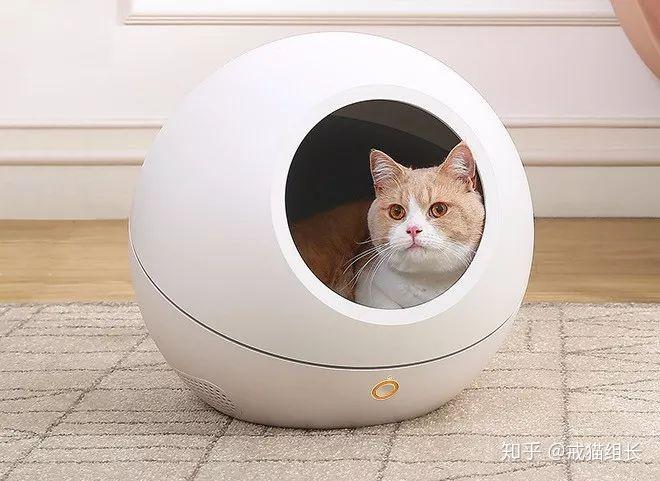小佩猫窝事件:对宠物不友好的大环境下,我们能做些什么? - 知乎