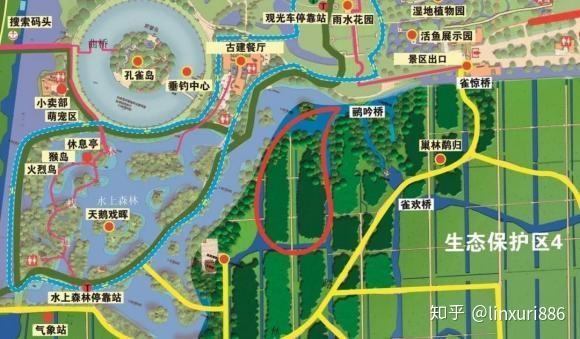 来宁波杭州湾国家湿地公园观鸟看一看湿地公园的魅力之处