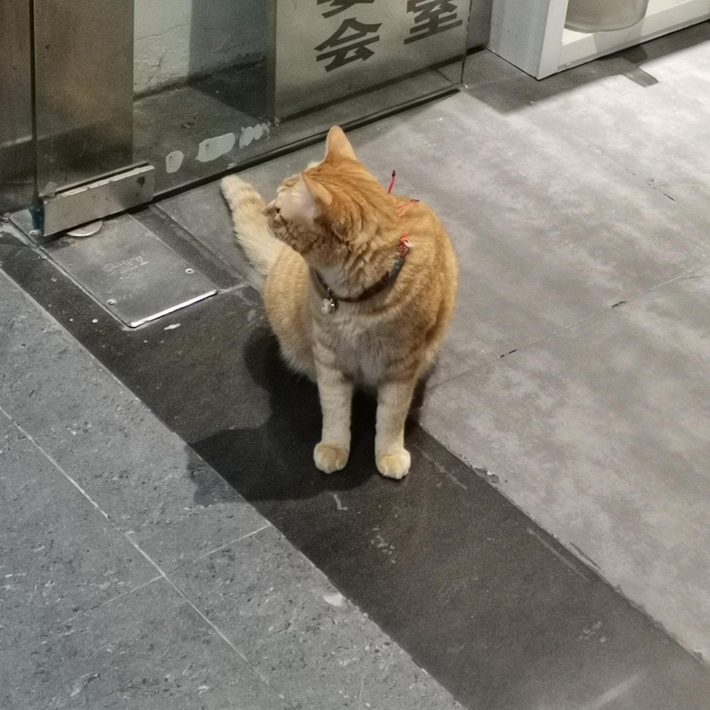 小也