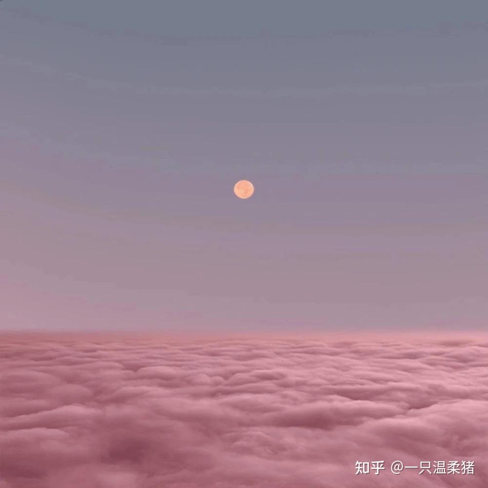 50条适合发朋友圈的干净温柔文案