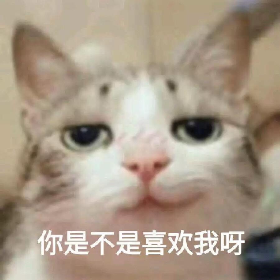 高三文科生,不是美术生,没有绘画功底,但是对美