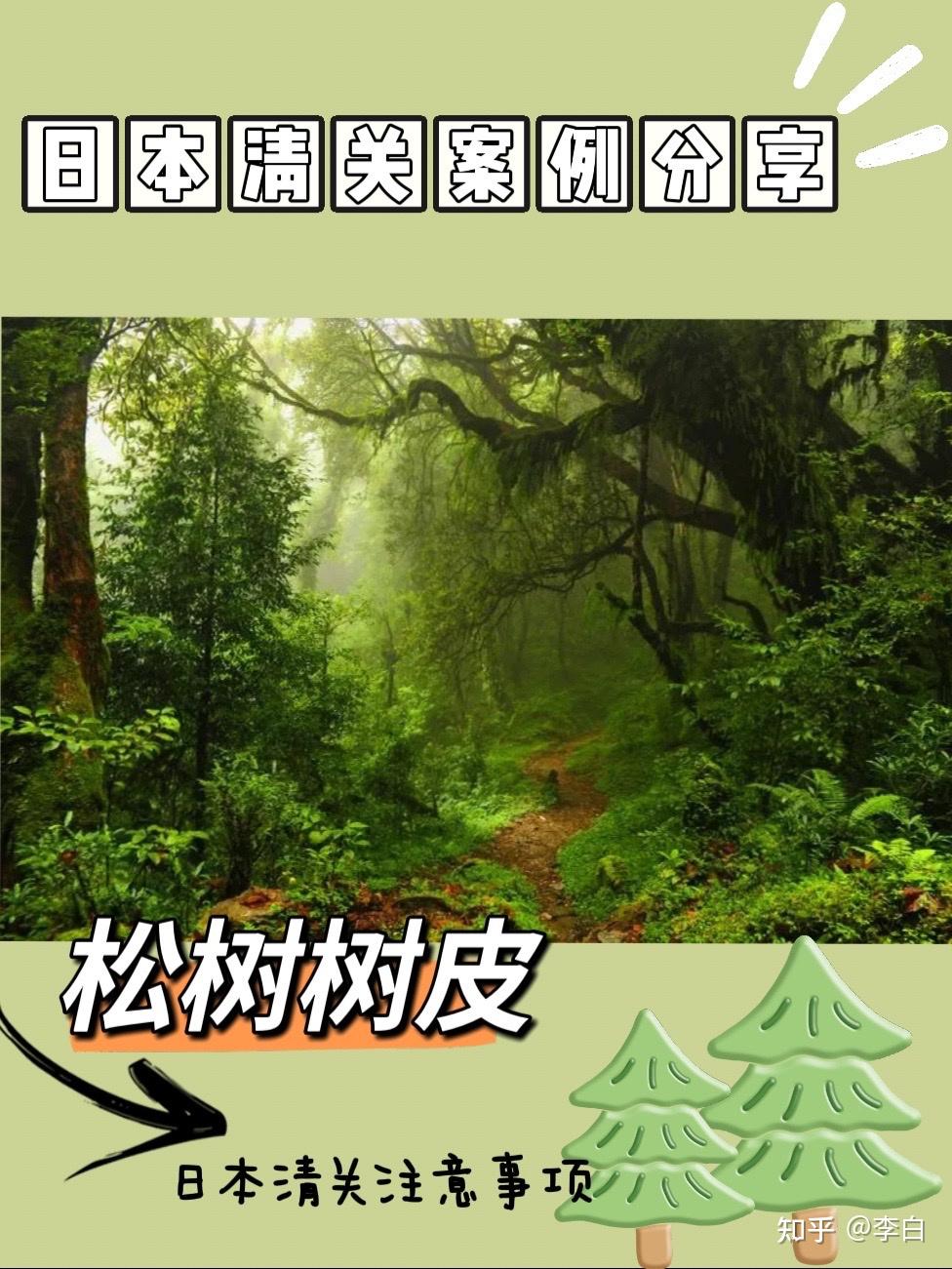 日本清关案例分享之松树树皮注意事项- 知乎