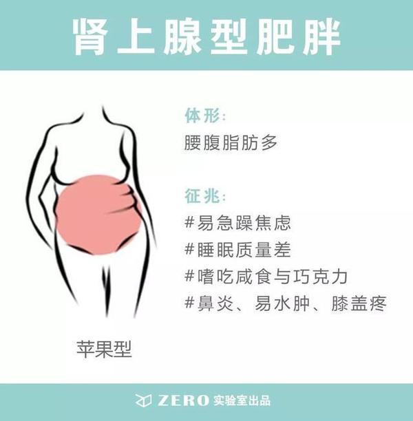 减脂科普肥胖的三种类型及对策